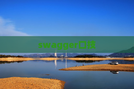 swagger口技